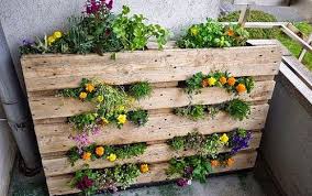 Orto-sul-balcone-pallet